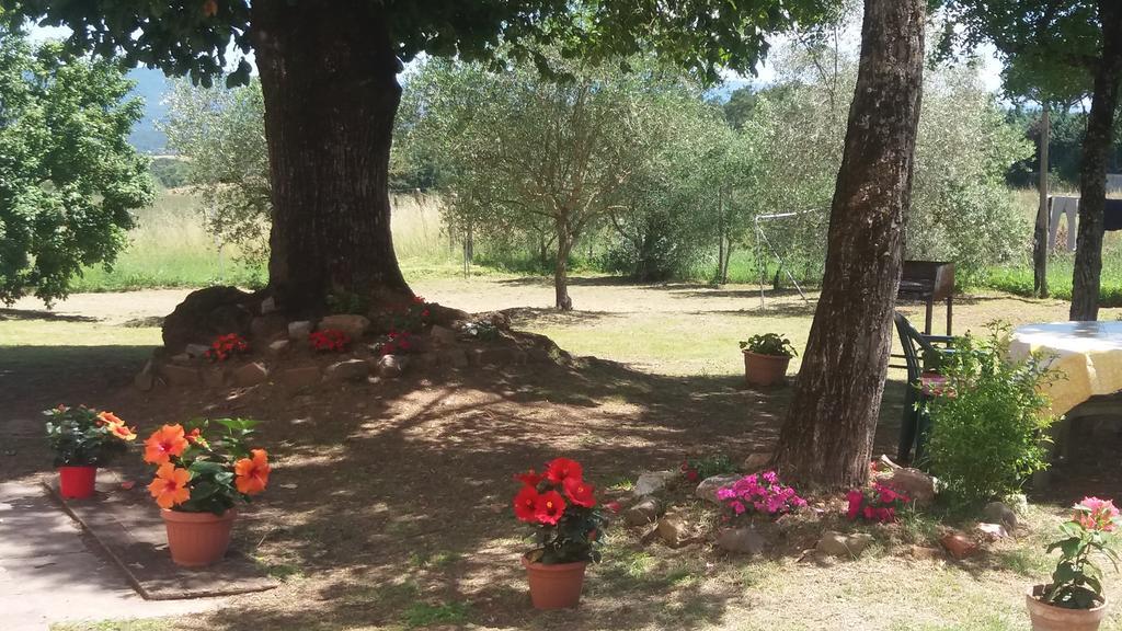 Azzurre Beb Bed and Breakfast Laterina Εξωτερικό φωτογραφία