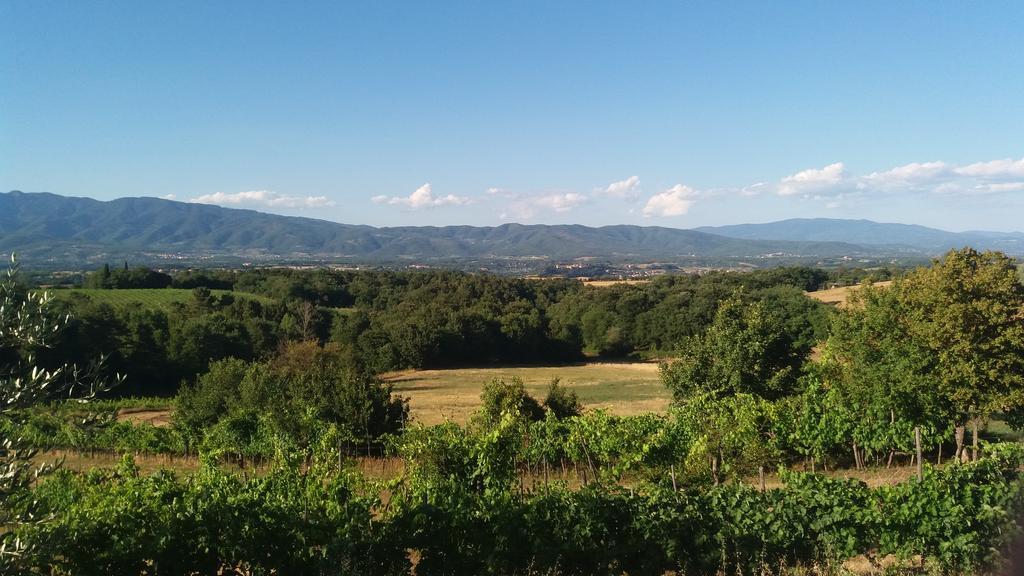 Azzurre Beb Bed and Breakfast Laterina Εξωτερικό φωτογραφία
